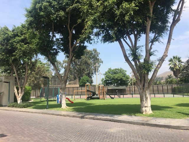 place photo 43
