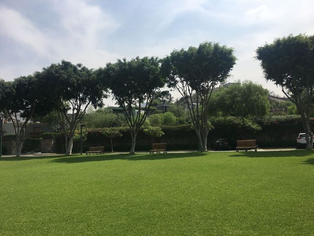 place photo 49