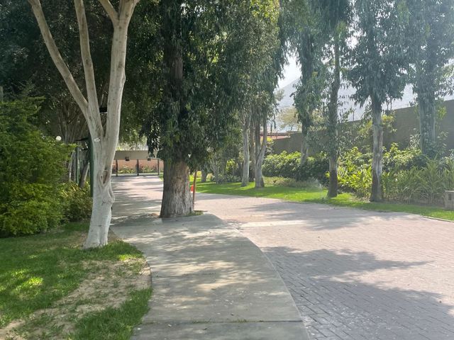 place photo 52