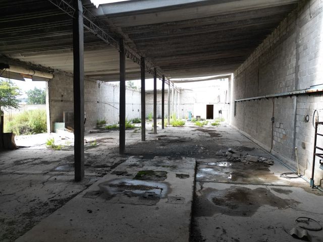 place photo 16