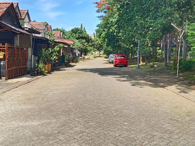 place photo 13