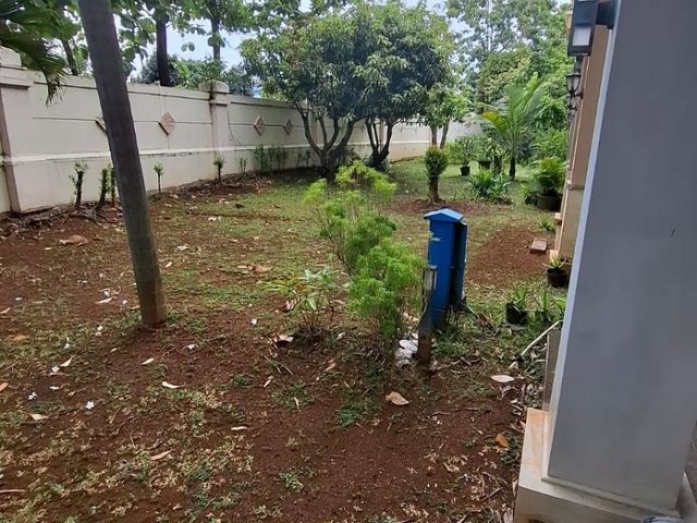 place photo 31