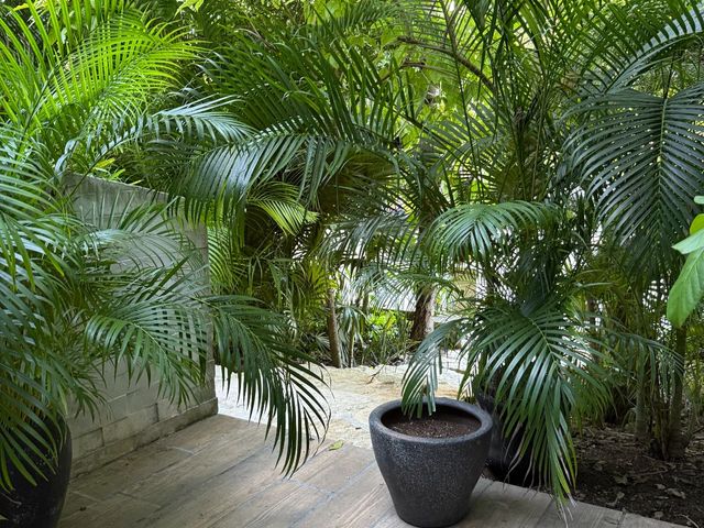 place photo 67