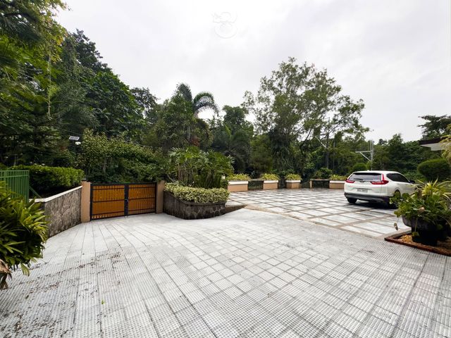 place photo 57