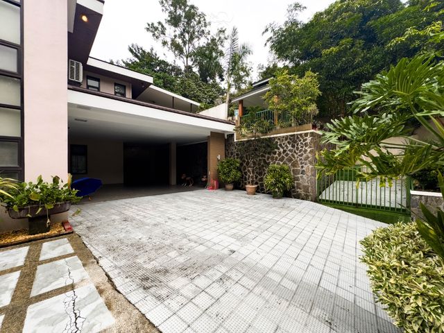 place photo 64