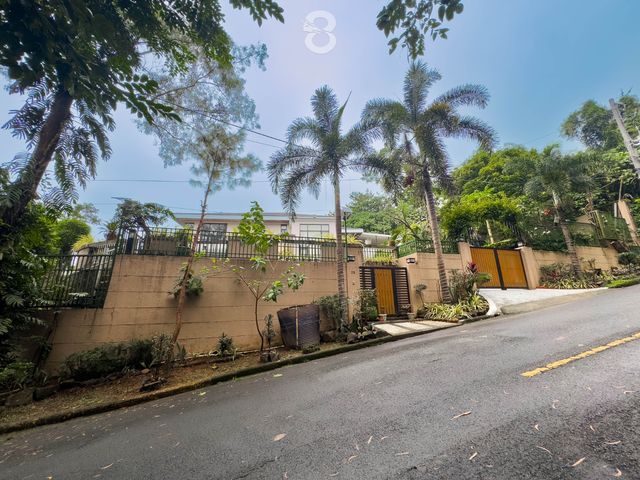 place photo 68