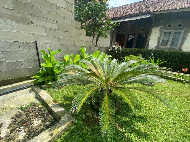 place photo 27