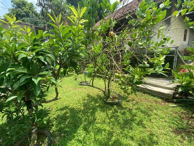 place photo 28