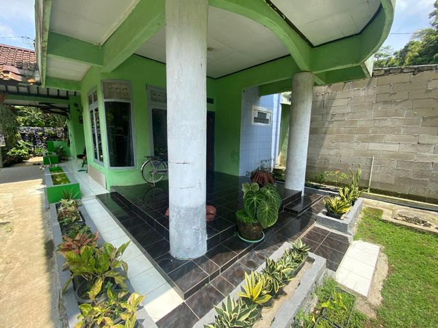 place photo 31
