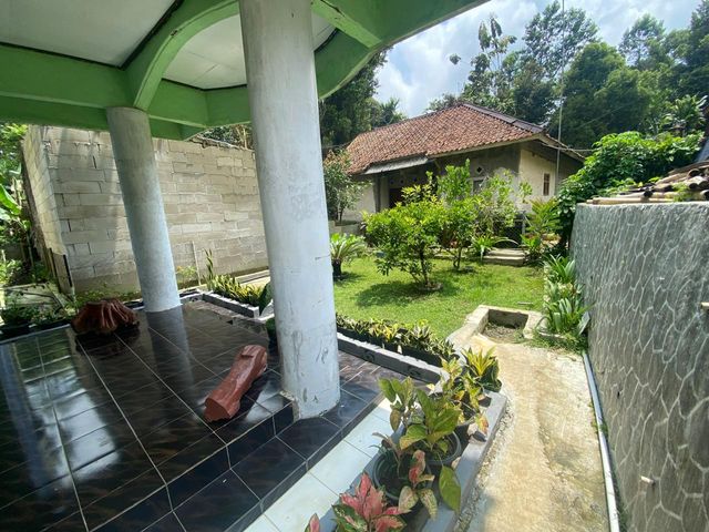 place photo 33