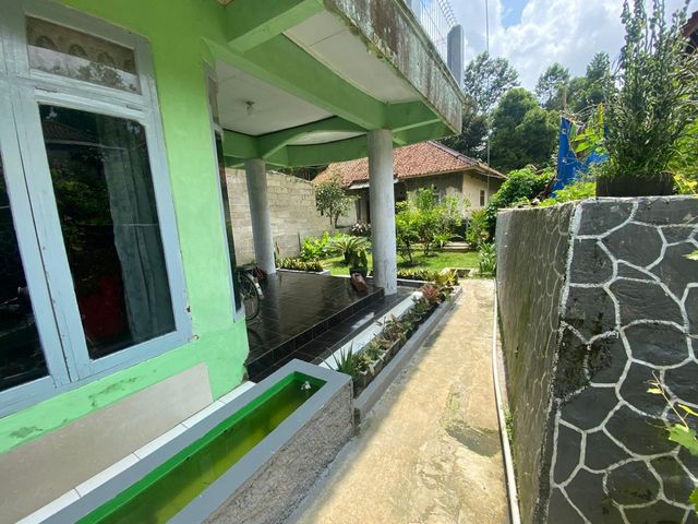 place photo 34