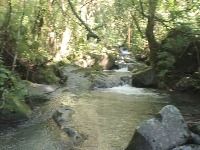 place photo 32