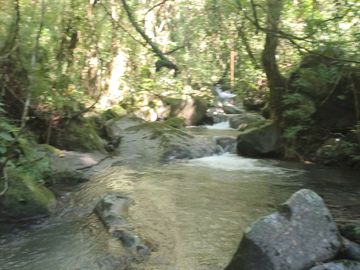 place photo 32