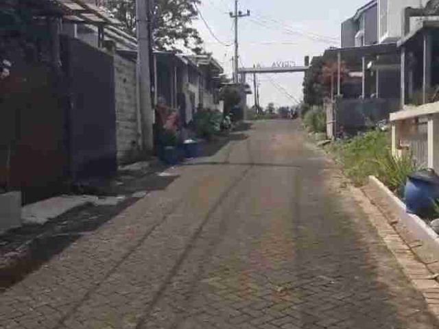 place photo 10