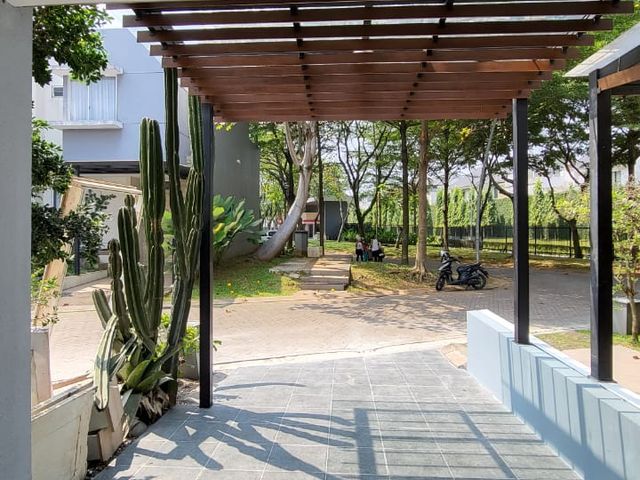 place photo 21