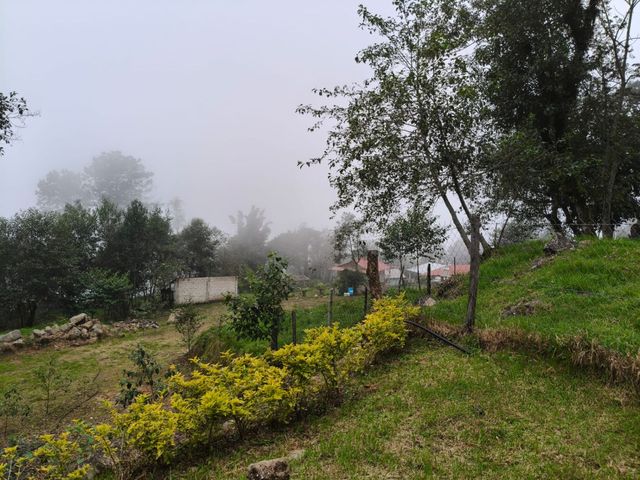 place photo 60