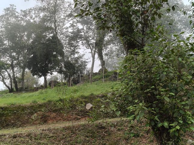 place photo 63