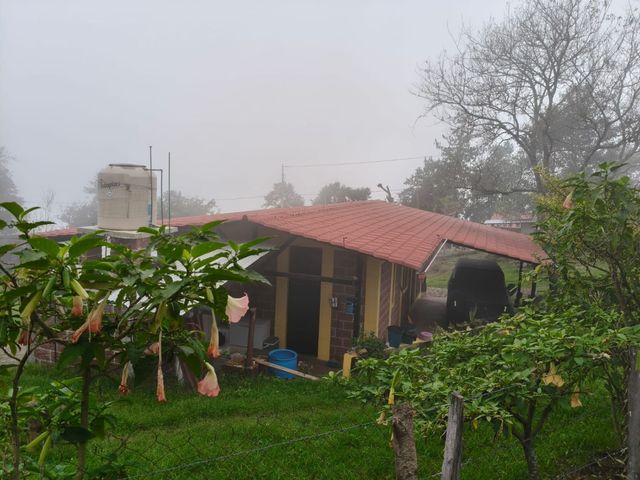 place photo 54