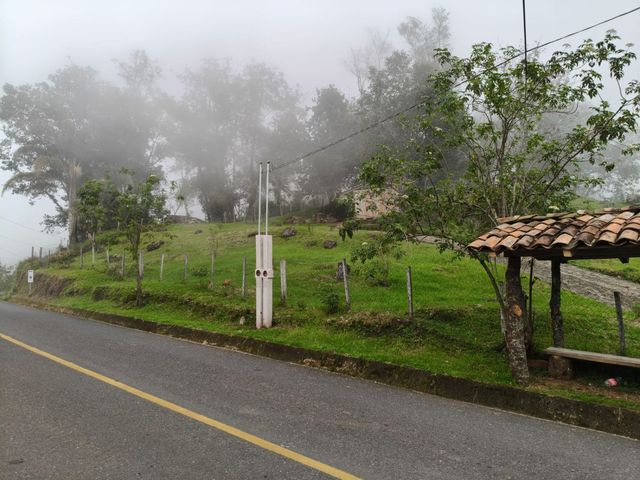 place photo 50