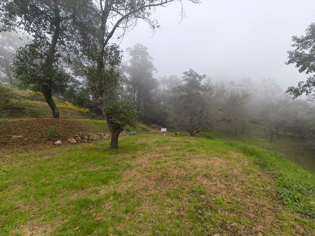 place photo 56