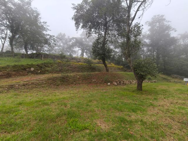 place photo 59