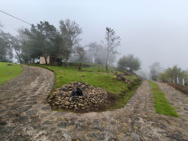 place photo 30