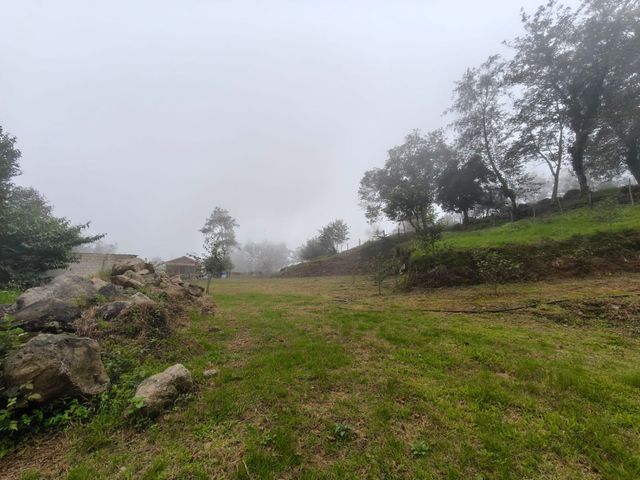 place photo 55