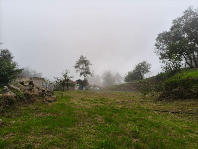 place photo 61