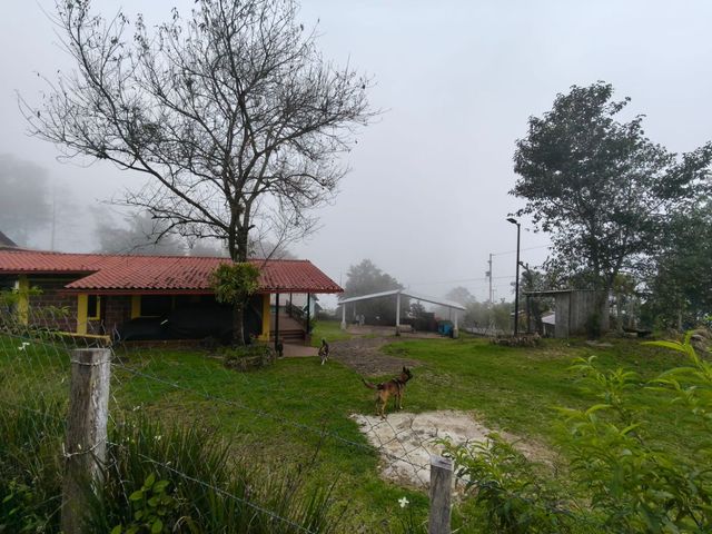 place photo 46