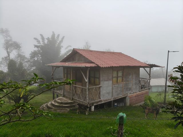 place photo 68