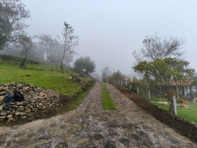 place photo 48
