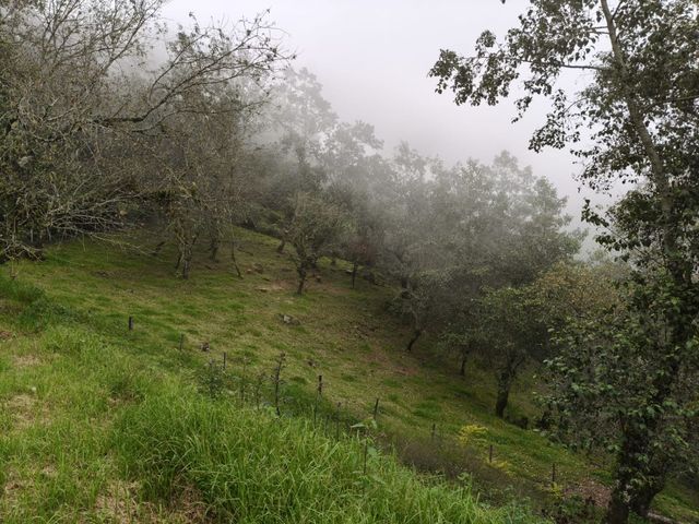 place photo 62