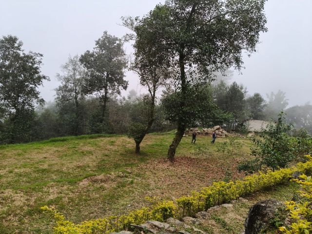 place photo 53
