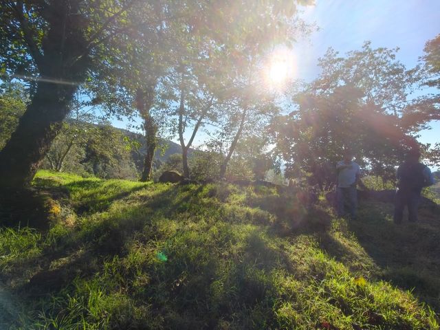 place photo 66
