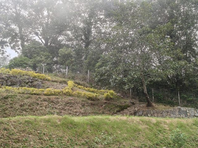 place photo 67