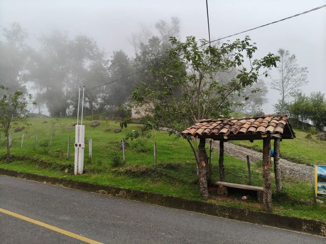 place photo 51