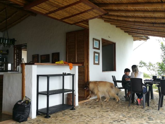 place photo 52