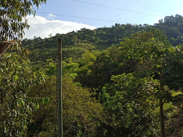 place photo 54