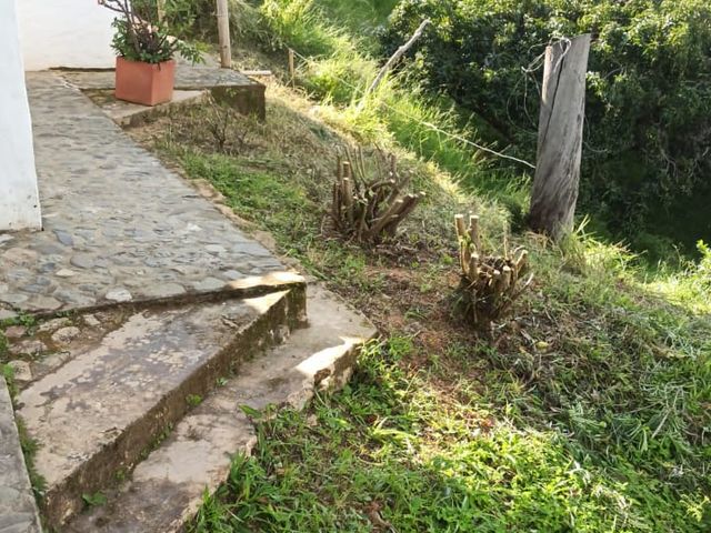 place photo 55