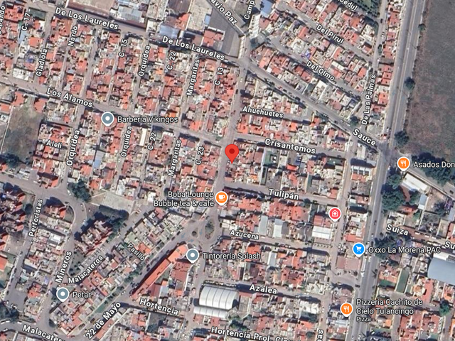 place photo 28
