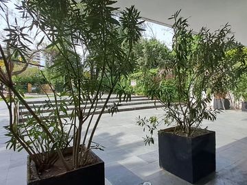 place photo 45