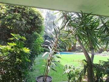 place photo 50