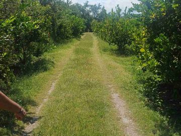 place photo 20