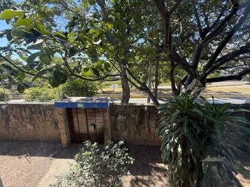 place photo 55