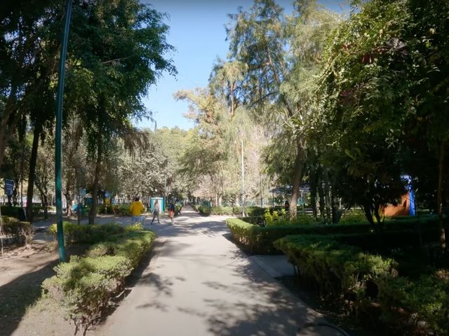 place photo 12
