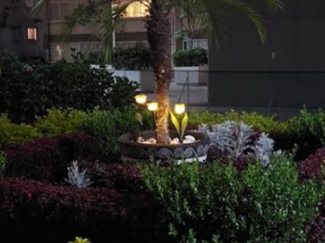 place photo 21