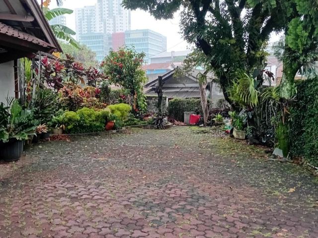 place photo 14