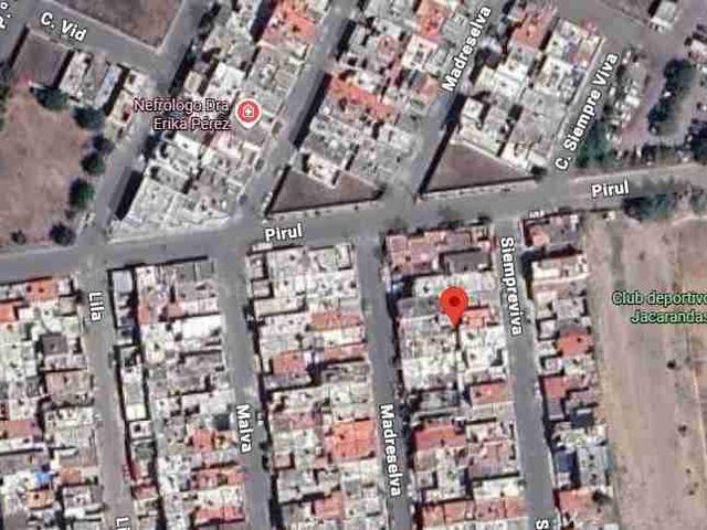 place photo 6