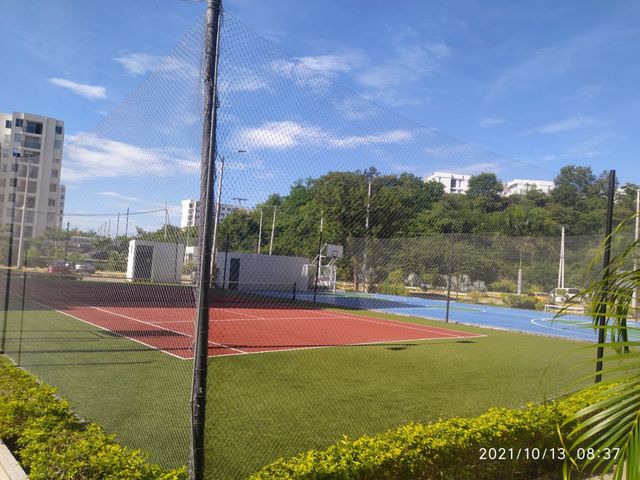 place photo 15