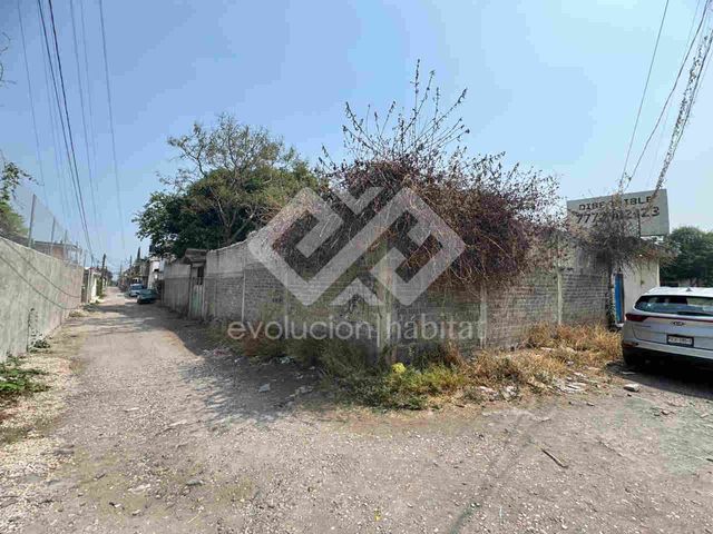 place photo 7